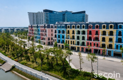 Ngói phẳng Pháp SE-24